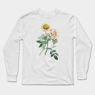 Dog Rose and Chamomile Flower Vintage Botanical Illustration Long Sleeve T-Shirt